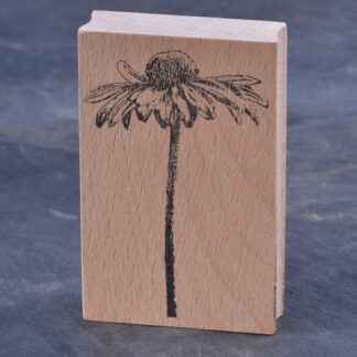 Echinacea (Stempel)