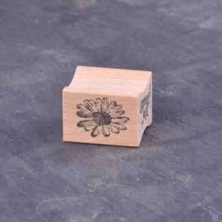 Margeritenblüte klein (Stempel)