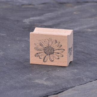 Margeritenblüte mittel (Stempel)
