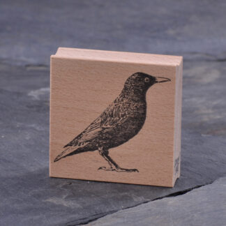Star (Stempel)