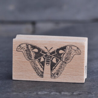 Atlasspinner (Stempel)