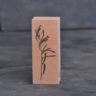 Eukalyptus III (Stempel)