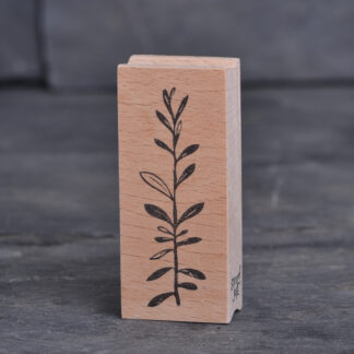 Eukalyptus IV (Stempel)