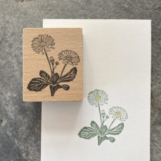 Gänseblümchen (Stempel)
