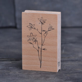 Glockenblume (Stempel)
