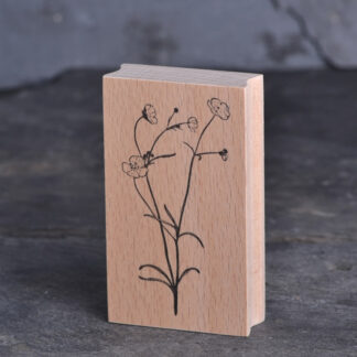 Hahnenfuß (Stempel)