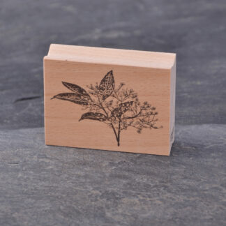 Holunder (Stempel)