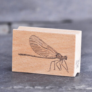 Libelle seitlich (Stempel)