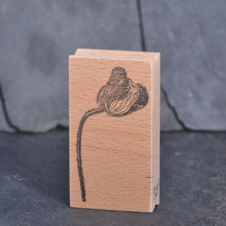 Mohnknospe (Stempel)