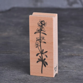 Wilder Oregano (Stempel)