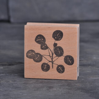 Pilea (Stempel)