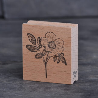 Rose (Stempel)