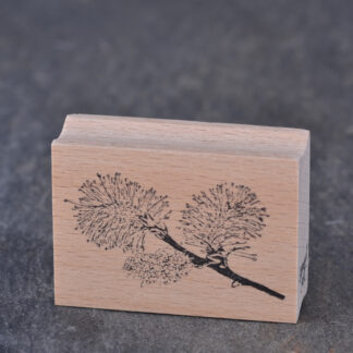 Salweidenkätzchen (Stempel)
