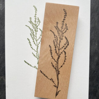 Sauerampfer (Stempel)