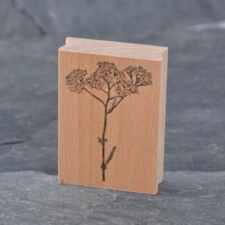 Schafgarbe (Stempel)
