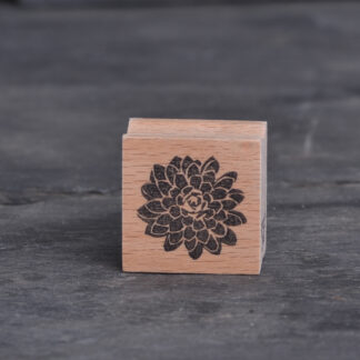Sukkulente II (Stempel)
