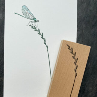 Weidelgras (Stempel)