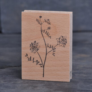 Wicke III (Stempel)