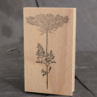 Wilde Möhre (Stempel)