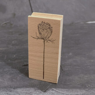 Wilde Möhre Knospe (Stempel)