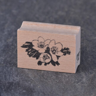 Winterling (Stempel)