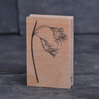 Wollgras (Stempel)
