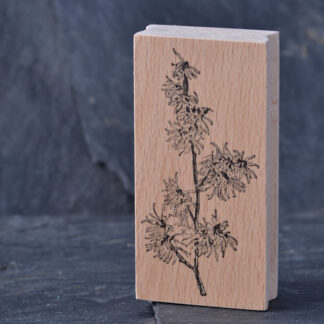 Zaubernuss (Stempel)