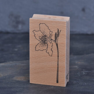 Christrose (Stempel)