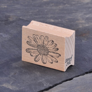 Margeritenblüte (Stempel)